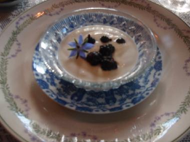 Edible flower and blackberries from the garden.