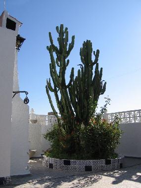 Chalet in La Campaneta (Murcia) or holiday homes and vacation rentals