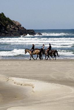 Holiday House in Florian�polis (Santa Catarina) or holiday homes and vacation rentals