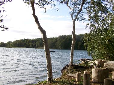Holiday House in Dobbertin (Mecklenburgische Seenplatte) or holiday homes and vacation rentals