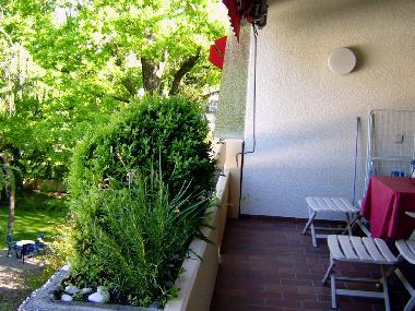 Holiday Apartment in BAD BELLINGEN (Black Forest) or holiday homes and vacation rentals