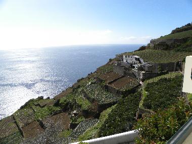Holiday Apartment in Camara de Lobos (Madeira) or holiday homes and vacation rentals