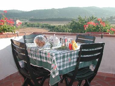 Holiday Apartment in Lucignano (Arezzo) or holiday homes and vacation rentals