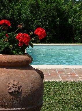 Holiday Apartment in Lucignano (Arezzo) or holiday homes and vacation rentals