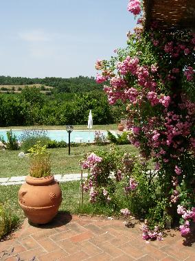 Holiday Apartment in Lucignano (Arezzo) or holiday homes and vacation rentals