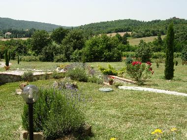 Holiday Apartment in Lucignano (Arezzo) or holiday homes and vacation rentals
