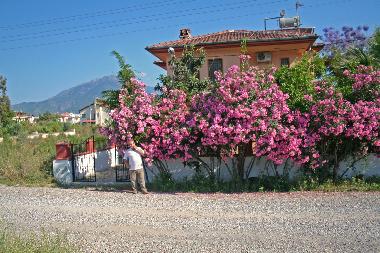 Holiday House in Fethiye,  (Mugla) or holiday homes and vacation rentals