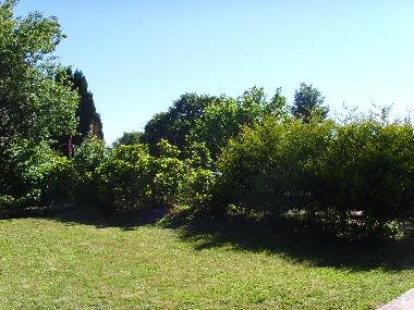 side garden in front garden