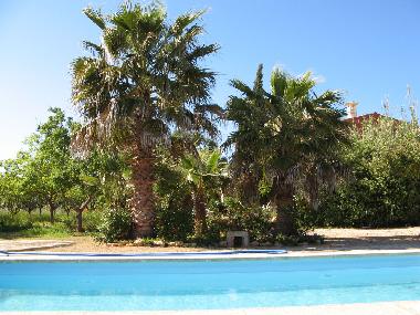 Holiday House in Llucmajor (Mallorca) or holiday homes and vacation rentals