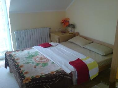Holiday House in Belgrade (Central Serbia) or holiday homes and vacation rentals