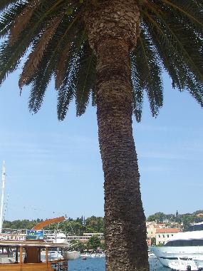 Holiday Apartment in HVAR (Splitsko-Dalmatinska) or holiday homes and vacation rentals