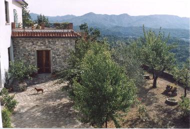 The cozy panoramic garden