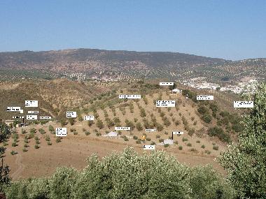 Holiday House in Villanueva de Tapia (Mlaga) or holiday homes and vacation rentals