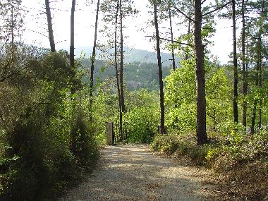 Gate to your holidayvilla