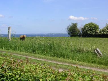 Holiday Apartment in Steinberg/Habernis (Ostsee-Festland) or holiday homes and vacation rentals