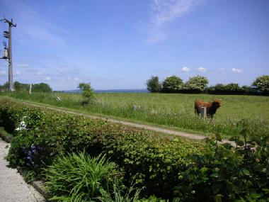 Holiday Apartment in Steinberg/Habernis (Ostsee-Festland) or holiday homes and vacation rentals