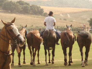 Holiday House in Jimena de la Frontera (C�diz) or holiday homes and vacation rentals