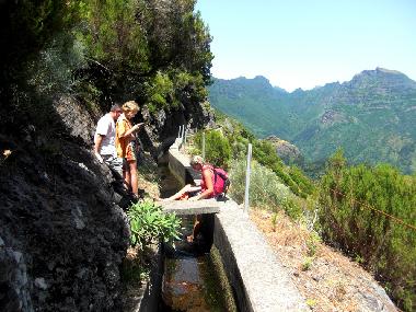 Holiday Apartment in Canico de Baixo (Madeira) or holiday homes and vacation rentals