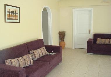 Large lounge satellite TV, 50