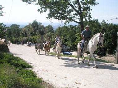 Holiday Apartment in Casas Del Monte (Cceres) or holiday homes and vacation rentals