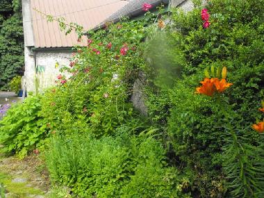 Holiday House in Lusmagh, Banagher (Offaly) or holiday homes and vacation rentals