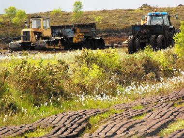 Holiday House in Lusmagh, Banagher (Offaly) or holiday homes and vacation rentals