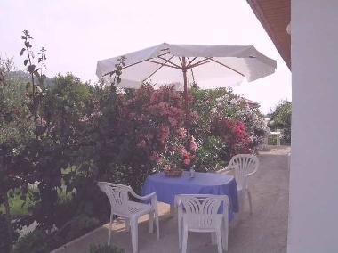Holiday House in Kato Samiko (Peloponnisos) or holiday homes and vacation rentals