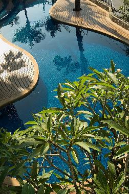 Holiday Apartment in Kata Beach (Phuket) or holiday homes and vacation rentals