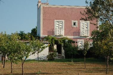 the house from the garden