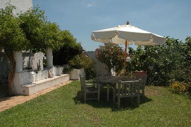 lunch table on the grass