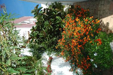 Holiday House in Gaeta (Latina) or holiday homes and vacation rentals