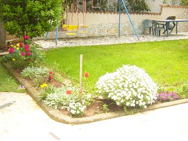 Holiday Apartment in Premantura (Istarska) or holiday homes and vacation rentals