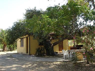 The Cottage under the Carob Tree, shaded by green foliage, seconds from blue seas.