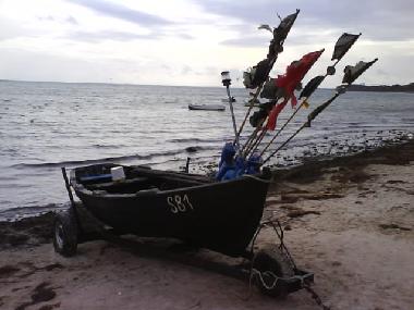 Holiday House in Zingst (Mecklenburgische Ostseekste) or holiday homes and vacation rentals