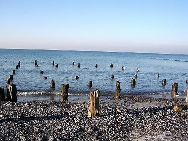 Holiday House in Zingst (Mecklenburgische Ostseekste) or holiday homes and vacation rentals