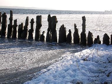 Holiday House in Zingst (Mecklenburgische Ostseekste) or holiday homes and vacation rentals