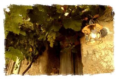 Holiday House in Macerata Feltria (Pesaro e Urbino) or holiday homes and vacation rentals