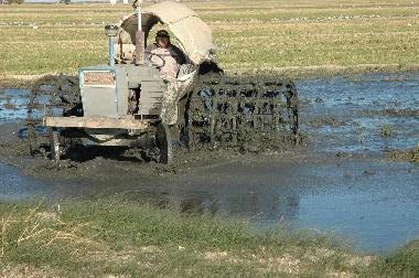 Holiday Apartment in L'Ampolla (Tarragona) or holiday homes and vacation rentals