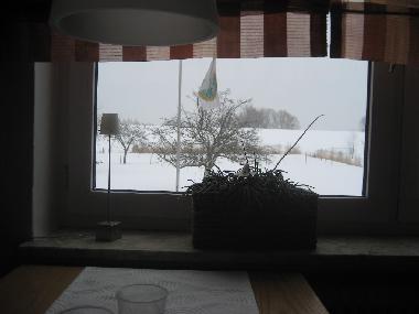 Holiday House in 21706 (Land zwischen Elbe u. Weser) or holiday homes and vacation rentals