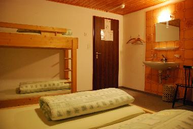 Hotel in Rueras (Disentis-Sedrun) or holiday homes and vacation rentals