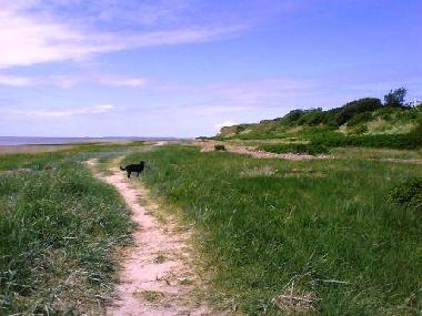 Holiday House in H�jer (Sonderjylland) or holiday homes and vacation rentals