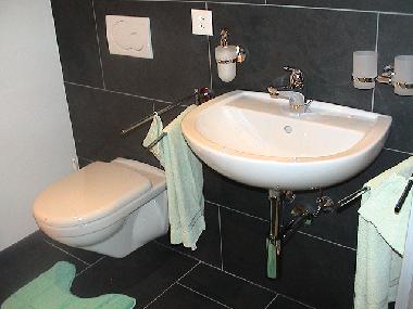 Holiday Apartment in Tschlin (Scuol) or holiday homes and vacation rentals