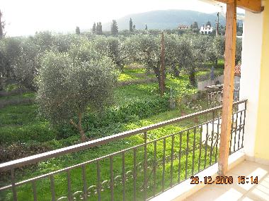 Holiday House in LITHAKIA (Zakynthos) or holiday homes and vacation rentals