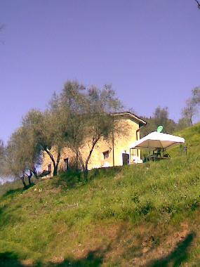 View from badminton zone