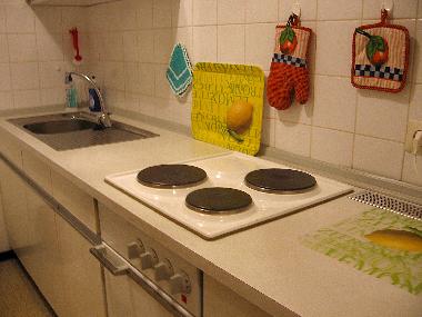 Holiday Apartment in Baiersbronn Obertal-Buhlbach (Black Forest) or holiday homes and vacation rentals