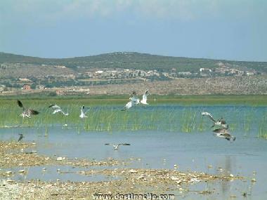 The Nature park Vrana lake