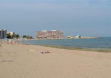 Holiday Apartment in Torrevieja (Alicante / Alacant) or holiday homes and vacation rentals