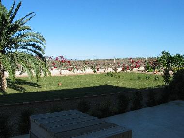 Holiday House in Almendricos (Murcia) or holiday homes and vacation rentals