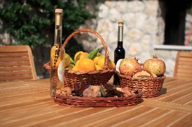 Holiday House in Dubrovnik (Dubrovacko-Neretvanska) or holiday homes and vacation rentals