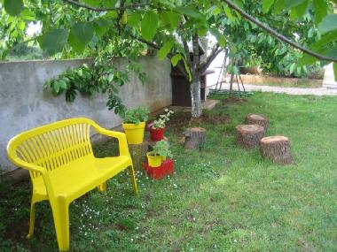 Apartment Kiwi garden